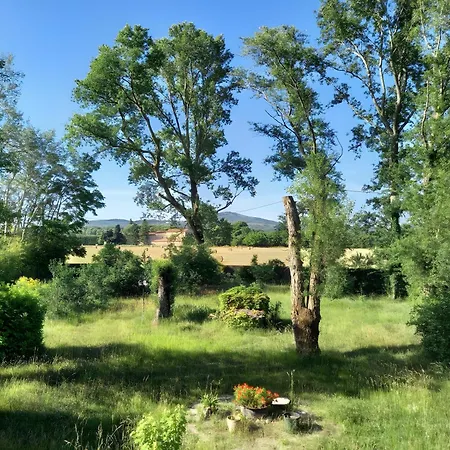 Harmony * Châteauneuf-du-Rhône